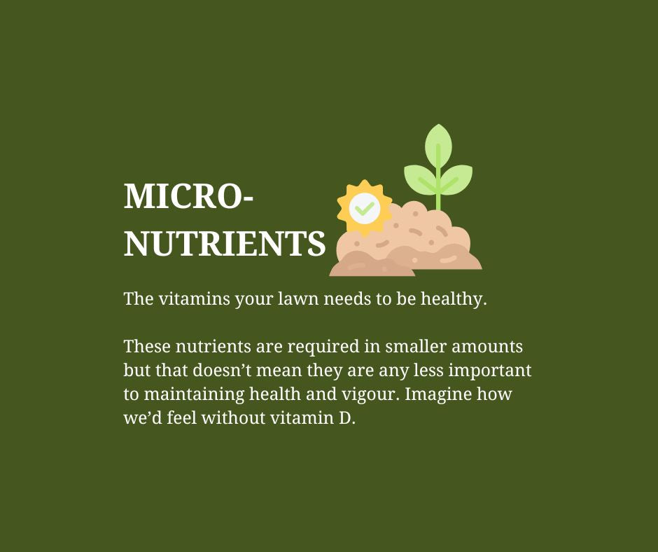 Micro-Nutrients - The vitamins your lawn needs to be healthy