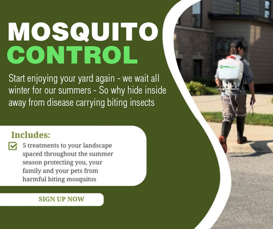 Mosquito Control