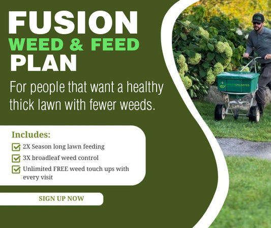 Fusion - Weed & Feed Plan